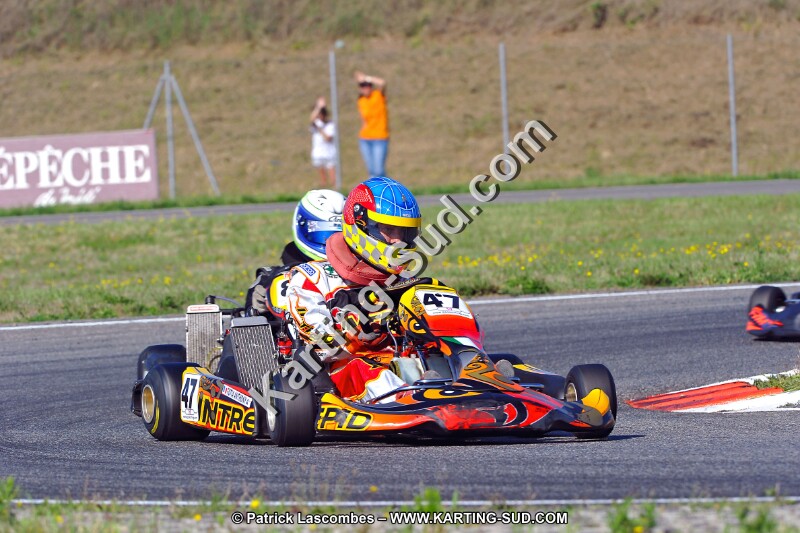 DSC_ (1091).jpg